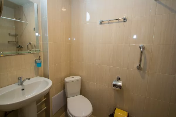 Стандарт одноместный однокомнатный 1 категории в санатории Тельмана в городе Железноводске - фотография