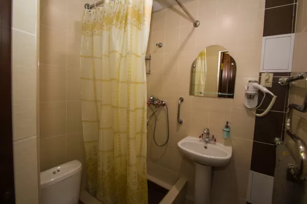 Стандарт двухместный однокомнатный 1 категории в санатории Тельмана в городе Железноводске - фотография